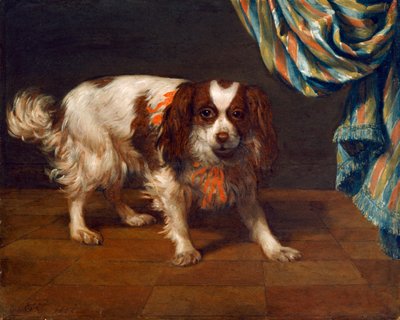 King Charles Spaniel (olej na desce) autorstwa Gysbert van de Kuyl