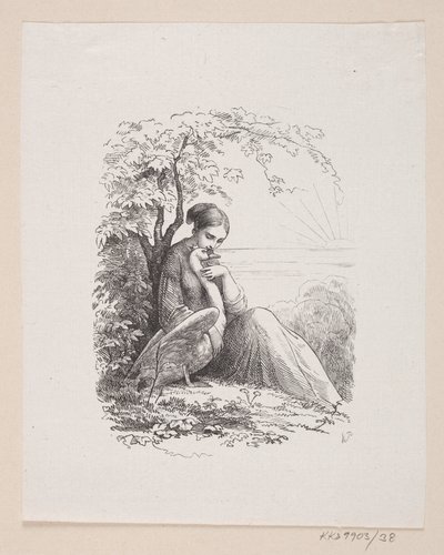 Ilustracja do „Dzikich łabędzi” w H.C. Andersen, „Baśnie i historie”, tom 1 autorstwa H.P. Hansen