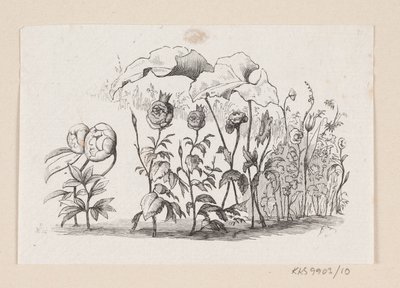 Ilustracja do „Den lille Idas Blomster” w H.C. Andersen, „Baśnie i historie”, tom 1 autorstwa H.P. Hansen
