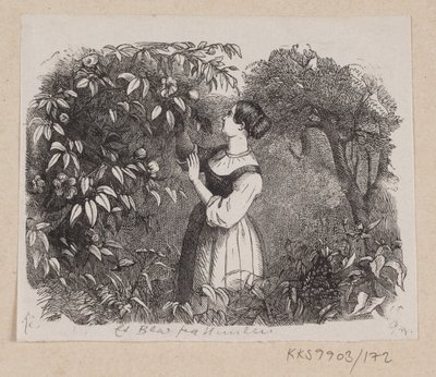 Ilustracja do „Liścia z nieba” w H.C. Andersen, „Baśnie i historie”, tom 2 autorstwa H.P. Hansen