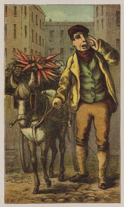 Costermonger (kolor lito) autorstwa H.W. (after) Petherick
