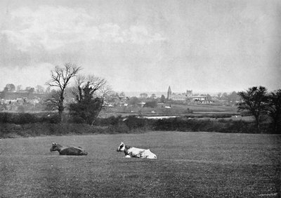 Southwell, ok. 1896 r autorstwa H. J. Bliss