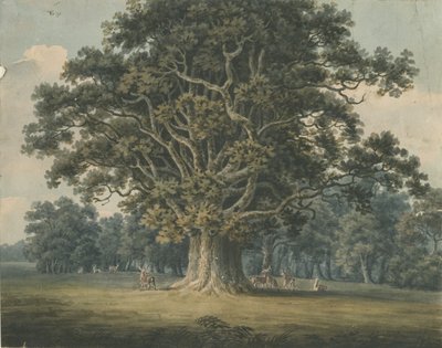 Needwood - Swipcar Oak: malarstwo akwarelowe i [?początek XIX wieku] autorstwa H Moore