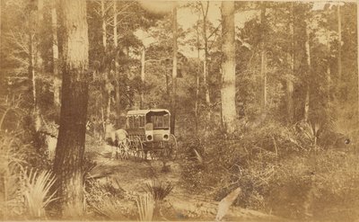 Scena na wyspie Folly autorstwa Haas and Peale