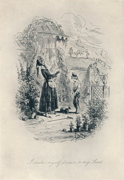Daję się poznać mojej cioci. Akwaforta z Davida Copperfielda, c1840-1880, 1923 autorstwa Hablot Knight Browne