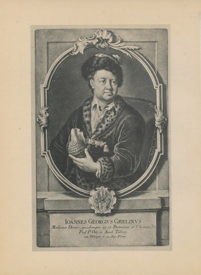 Portret przyrodnika, botanika i geografa Johanna Georga Gmelina 1709-1755, połowa XVIII w. autorstwa Haid
