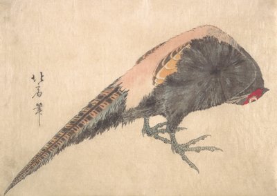 Ptak, lata 30. XIX wieku. autorstwa Hakusanjin Hokui