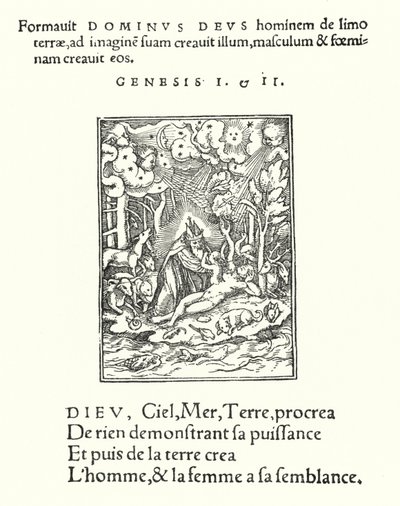 Stworzenie (grawerowanie) autorstwa Hans (after) Holbein the Younger