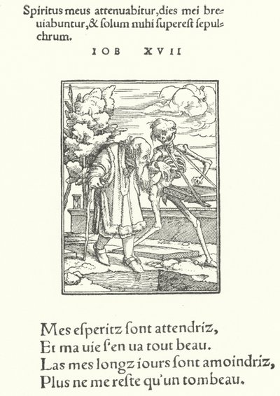 Stary człowiek (rycina) autorstwa Hans (after) Holbein the Younger