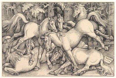 Grupa Siedmiu Koni, 1534. autorstwa Hans Baldung