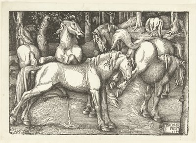 Grupa sześciu koni bojowych autorstwa Hans Baldung Grien