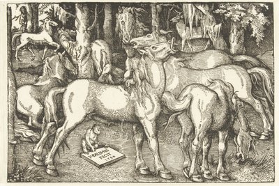 Grupa siedmiu koni i małpa autorstwa Hans Baldung Grien