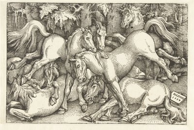 Grupa siedmiu koni bojowych autorstwa Hans Baldung Grien