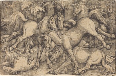 Grupa Siedmiu Koni w Lesie autorstwa Hans Baldung Grien