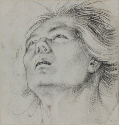  autorstwa Hans Baldung Grien
