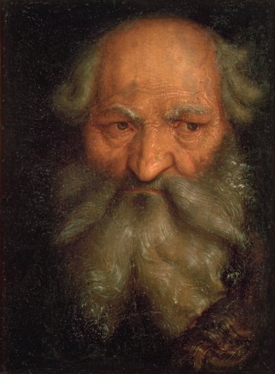 Głowa starego człowieka autorstwa Hans Baldung Grien