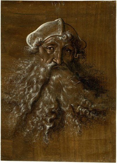 Głowa starszego mężczyzny z gęstą brodą autorstwa Hans Baldung Grien