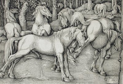  autorstwa Hans Baldung Grien