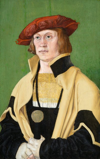 Portret mężczyzny, ok. 1520 (olej na desce) autorstwa Hans Brosamer