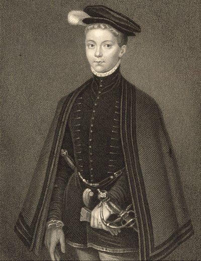 Portret Henry