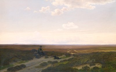 Widok na wrzosowiska Pårup w pobliżu Silkeborg, Jutlandia autorstwa Hans Friis