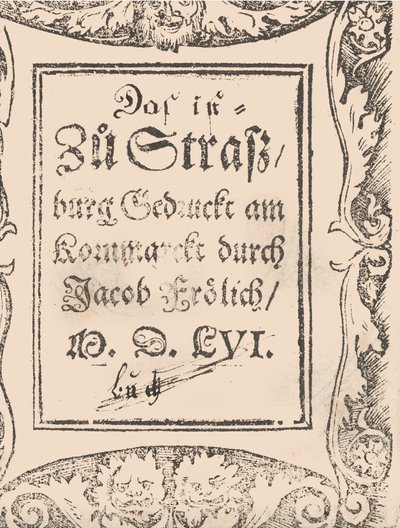 Nowa książka modeli dla wszystkich Nägerin i Sydenstickern Strona 27v, 1556. autorstwa Hans Hoffman