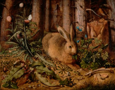Zając w lesie, ok. godz. 1585 (olej na panelu) autorstwa Hans Hoffmann