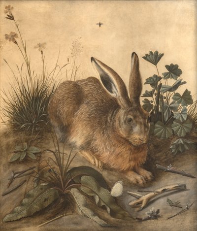 Zając autorstwa Hans Hoffmann