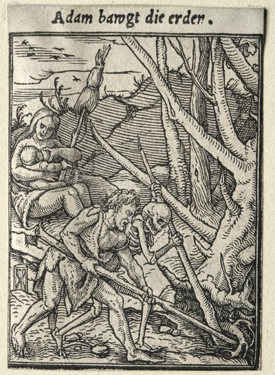 Taniec Śmierci: Adam Uprawia ziemię. autorstwa Hans Holbein