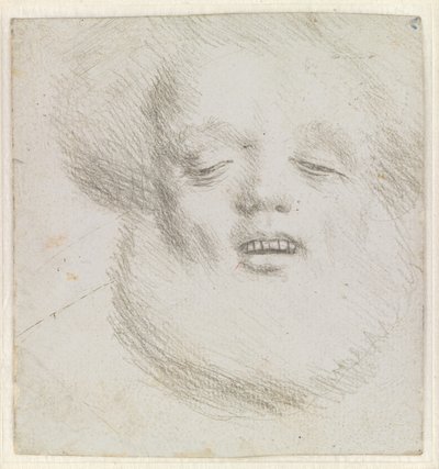 Głowa brodatego mężczyzny en face widziana od dołu autorstwa Hans Holbein d.Æ.
