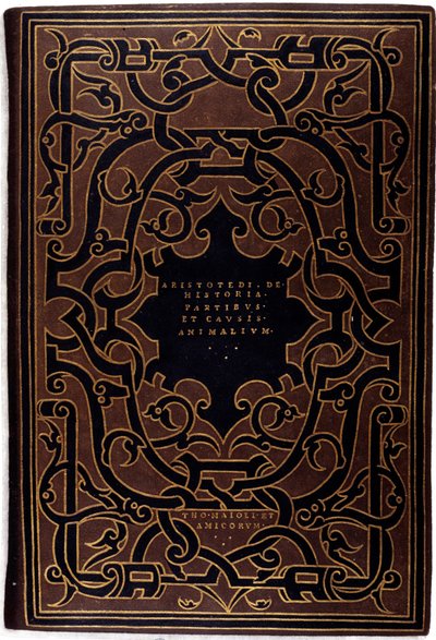 Oprawa zbioru „Historia Arystotelesa i Teofrasti”” rys. Hans Holbein Młodszy (1497-1543) 1534 Paryż, sztuka dekoracyjna autorstwa Hans Holbein der Jüngere