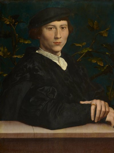 Derich Born (1510-gt;1549) autorstwa Hans Holbein the Younger