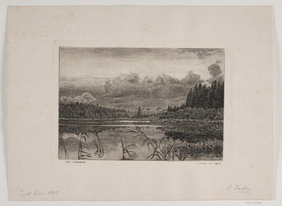 Jezioro w świerkowym lesie autorstwa Hans Julius Fæster