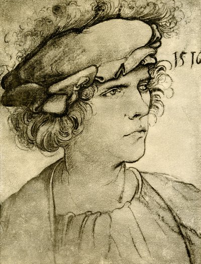 Portret nieznajomego autorstwa Hans Leonard Schaufelein