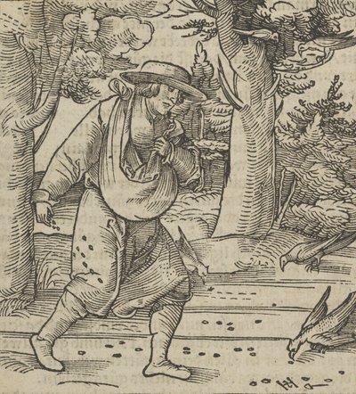 Ptaki jedzące ziarno siewcy, z Hymmelwagen auff dem, wer wol Leben..., 1517. autorstwa Hans Schäufelein the Elder