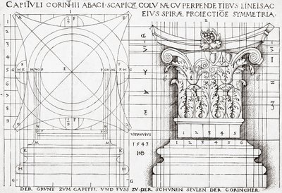 Przekrój kapitału korynckiego i rysunek proporcjonalny autorstwa Hans Sebald Beham