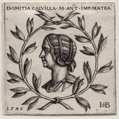 Domicja Calvilla autorstwa Hans Sebald Beham