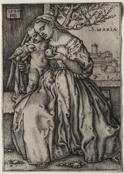 Madonna z Dzieciątkiem i papugą autorstwa Hans Sebald Beham