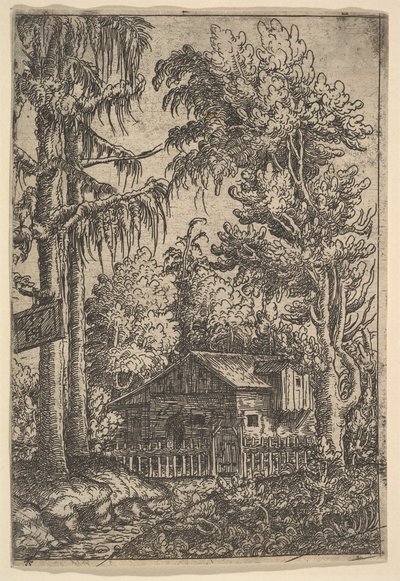 Domek wśród drzew, 1551. autorstwa Hans Sebald Lautensack