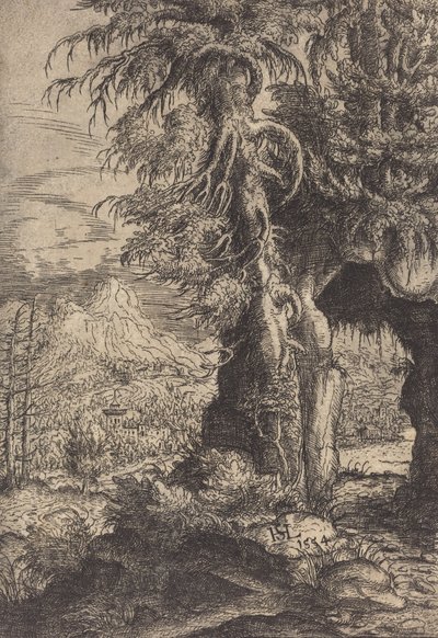 Brama w Skałach, 1554. autorstwa Hans Sebald Lautensack