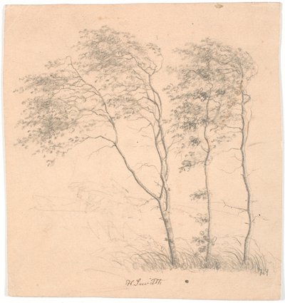 Trzy drzewa autorstwa Hans Smidth