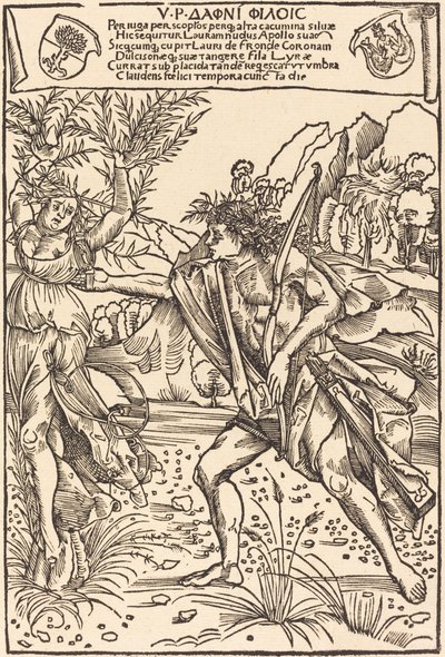 Apollo i Daphne autorstwa Hans Süss von Kulmbach