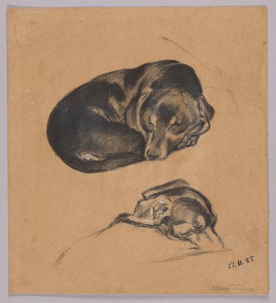 Zwei Studien eines schlafenden Dackels autorstwa Hans Thoma