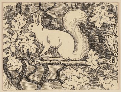 Ilustracja do podręcznika: Eichhorn autorstwa Hans Thoma