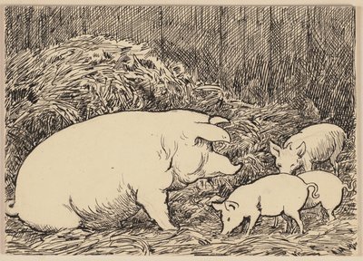 Ilustracja do podręcznika: Świnia autorstwa Hans Thoma