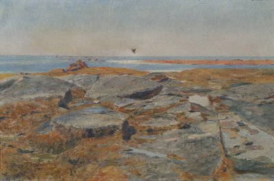 Studium z Concarneau autorstwa Hans Tichy