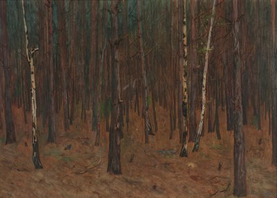 Waldinneres autorstwa Hans Tichy