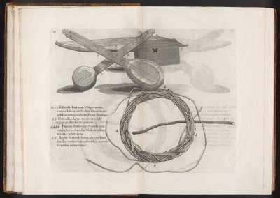 Ilustracja z podróży na wyspę Madera, Barbados...Vol.2, 1815 autorstwa Hans after Sloane