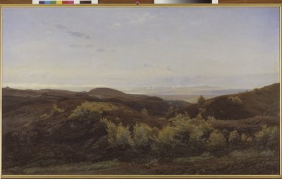 Heather Hills w pobliżu Rye, Jutlandia autorstwa Harald Foss