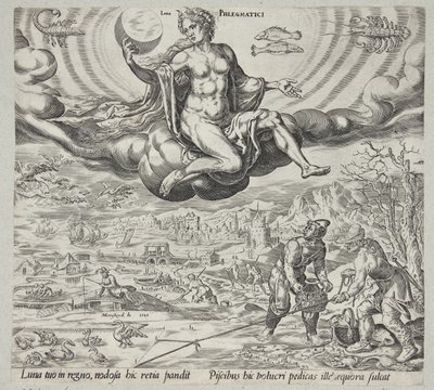 Flegmatyczny temperament autorstwa Harmen Jansz. Muller